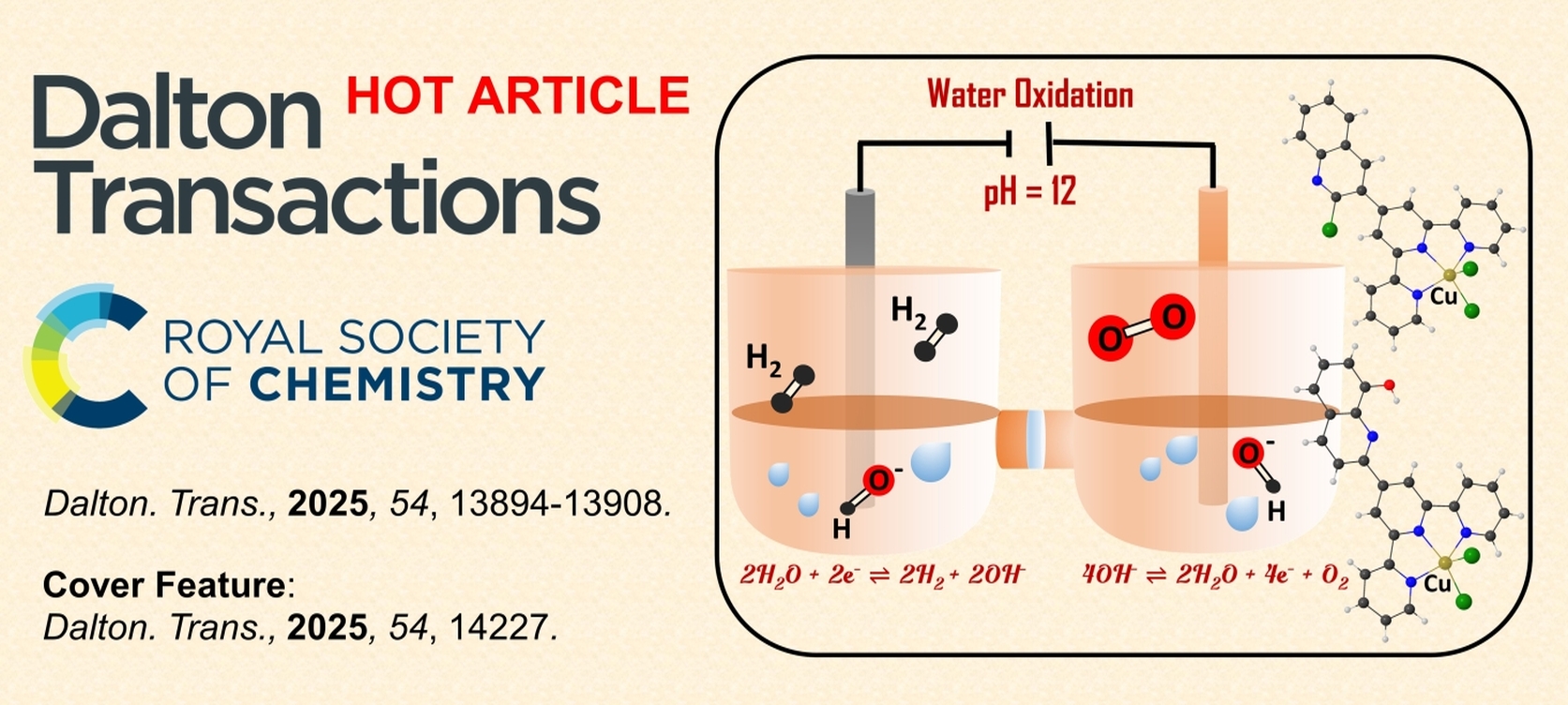 Opt wizard thumbnail